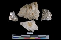 藏品(白雲母)的圖片